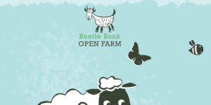 Beetle Bank Farm